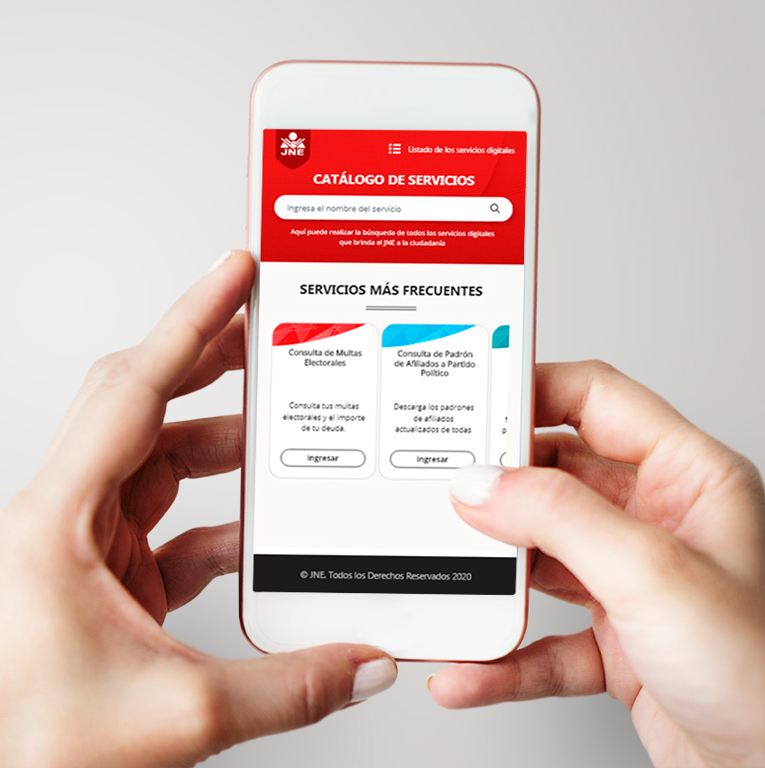 jne catalogo de servicios 2